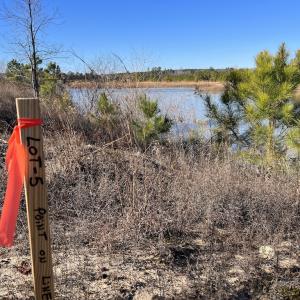 Photo #20 of SOLD property in 05 Josey Williams Road, Erwin, NC 13.4 acres
