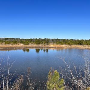 Photo #21 of SOLD property in 05 Josey Williams Road, Erwin, NC 13.4 acres