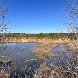Photo #22 of SOLD property in 05 Josey Williams Road, Erwin, NC 13.4 acres