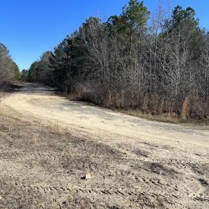 Photo #24 of SOLD property in 05 Josey Williams Road, Erwin, NC 13.4 acres
