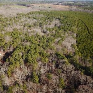Photo #3 of SOLD property in 7251 Baxter Rd, Disputanta, VA 21.8 acres