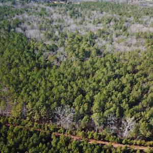Photo #5 of SOLD property in 7251 Baxter Rd, Disputanta, VA 21.8 acres