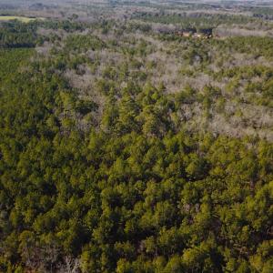 Photo #6 of SOLD property in 7251 Baxter Rd, Disputanta, VA 21.8 acres