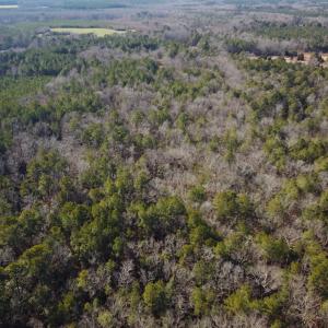 Photo #7 of SOLD property in 7251 Baxter Rd, Disputanta, VA 21.8 acres