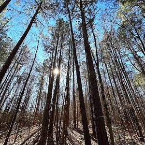 Photo #15 of SOLD property in 7251 Baxter Rd, Disputanta, VA 21.8 acres