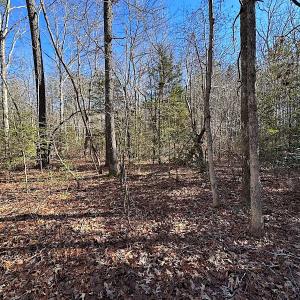 Photo #19 of SOLD property in 7251 Baxter Rd, Disputanta, VA 21.8 acres