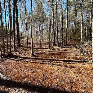 Photo #32 of SOLD property in 7251 Baxter Rd, Disputanta, VA 21.8 acres