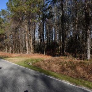 Photo #12 of SOLD property in Off Cattail Road, Elm City, NC 44.9 acres