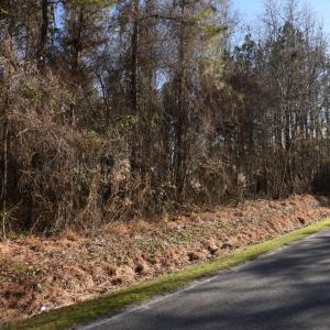 Photo #13 of SOLD property in Off Cattail Road, Elm City, NC 44.9 acres