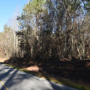 Photo #14 of SOLD property in Off Cattail Road, Elm City, NC 44.9 acres