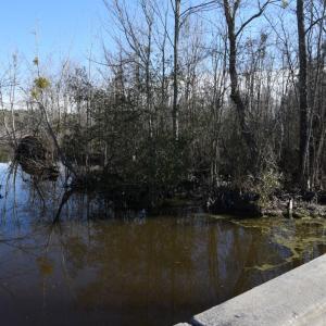 Photo #15 of SOLD property in Off Cattail Road, Elm City, NC 44.9 acres