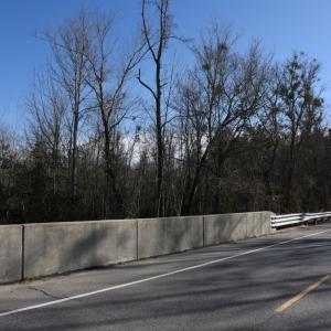 Photo #16 of SOLD property in Off Cattail Road, Elm City, NC 44.9 acres