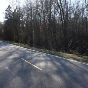 Photo #17 of SOLD property in Off Cattail Road, Elm City, NC 44.9 acres