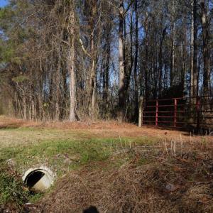 Photo #18 of SOLD property in Off Cattail Road, Elm City, NC 44.9 acres