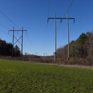 Photo #21 of SOLD property in Off Cattail Road, Elm City, NC 44.9 acres
