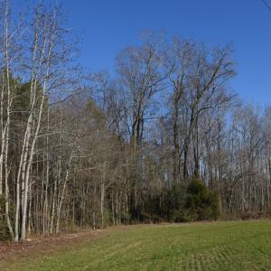 Photo #22 of SOLD property in Off Cattail Road, Elm City, NC 44.9 acres