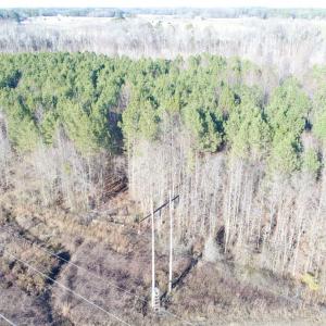 Photo #2 of SOLD property in Off Cattail Road, Elm City, NC 44.9 acres