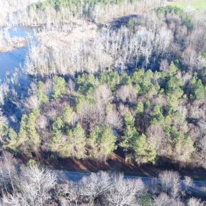 Photo #3 of SOLD property in Off Cattail Road, Elm City, NC 44.9 acres