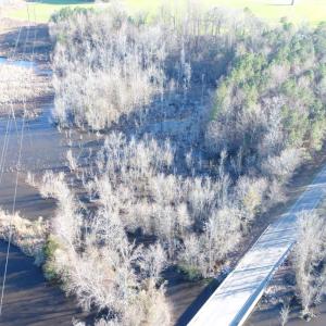 Photo #4 of SOLD property in Off Cattail Road, Elm City, NC 44.9 acres
