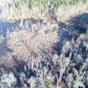 Photo #5 of SOLD property in Off Cattail Road, Elm City, NC 44.9 acres