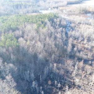 Photo #6 of SOLD property in Off Cattail Road, Elm City, NC 44.9 acres