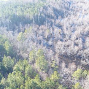 Photo #7 of SOLD property in Off Cattail Road, Elm City, NC 44.9 acres