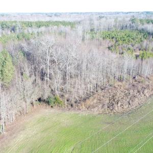 Photo #9 of SOLD property in Off Cattail Road, Elm City, NC 44.9 acres
