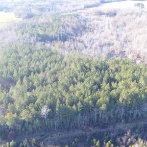Photo #11 of SOLD property in Off Cattail Road, Elm City, NC 44.9 acres