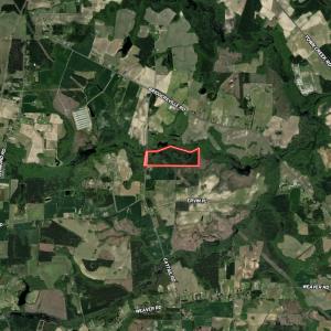 Photo #25 of SOLD property in Off Cattail Road, Elm City, NC 44.9 acres