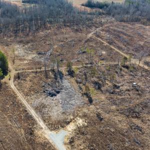 Photo #11 of SOLD property in Off NC Hwy 62 N, Burlington, NC 11.4 acres