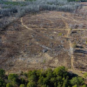 Photo #26 of SOLD property in Off NC Hwy 62 N, Burlington, NC 11.4 acres