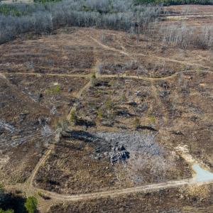 Photo #38 of SOLD property in Off NC Hwy 62 N, Burlington, NC 11.4 acres