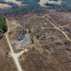 Photo #39 of SOLD property in Off NC Hwy 62 N, Burlington, NC 11.4 acres