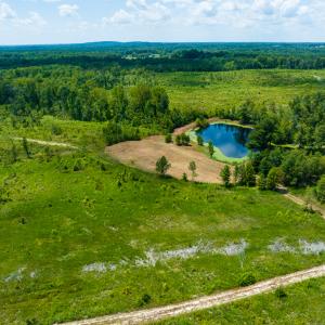 Photo #5 of SOLD property in Off NC Hwy 62 N, Burlington, NC 10.9 acres