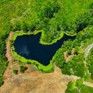 Photo #22 of SOLD property in Off NC Hwy 62 N, Burlington, NC 10.9 acres