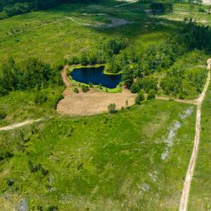 Photo #33 of SOLD property in Off NC Hwy 62 N, Burlington, NC 10.9 acres