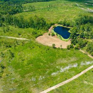 Photo #35 of SOLD property in Off NC Hwy 62 N, Burlington, NC 10.9 acres