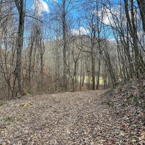 Photo #10 of Off Schultz Hollow Rd, Bluefield, VA 10.2 acres