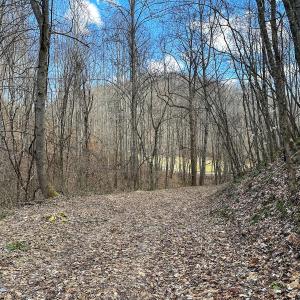 Photo #10 of SOLD property in Off Schultz Hollow Rd, Bluefield, VA 10.2 acres