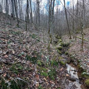 Photo #11 of Off Schultz Hollow Rd, Bluefield, VA 10.2 acres
