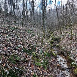 Photo #11 of SOLD property in Off Schultz Hollow Rd, Bluefield, VA 10.2 acres