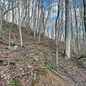 Photo #12 of SOLD property in Off Schultz Hollow Rd, Bluefield, VA 10.2 acres