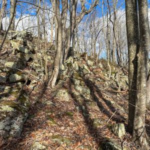 Photo #13 of SOLD property in Off Schultz Hollow Rd, Bluefield, VA 10.2 acres