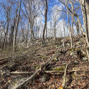 Photo #14 of SOLD property in Off Schultz Hollow Rd, Bluefield, VA 10.2 acres