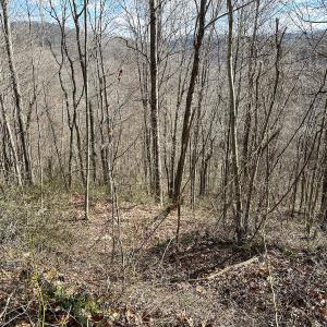 Photo #15 of SOLD property in Off Schultz Hollow Rd, Bluefield, VA 10.2 acres
