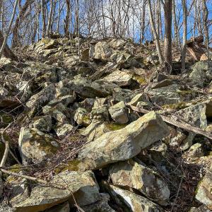 Photo #16 of SOLD property in Off Schultz Hollow Rd, Bluefield, VA 10.2 acres