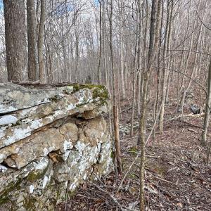 Photo #17 of SOLD property in Off Schultz Hollow Rd, Bluefield, VA 10.2 acres