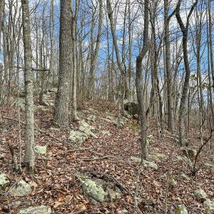 Photo #18 of Off Schultz Hollow Rd, Bluefield, VA 10.2 acres