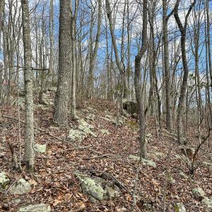Photo #18 of SOLD property in Off Schultz Hollow Rd, Bluefield, VA 10.2 acres