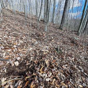 Photo #19 of SOLD property in Off Schultz Hollow Rd, Bluefield, VA 10.2 acres